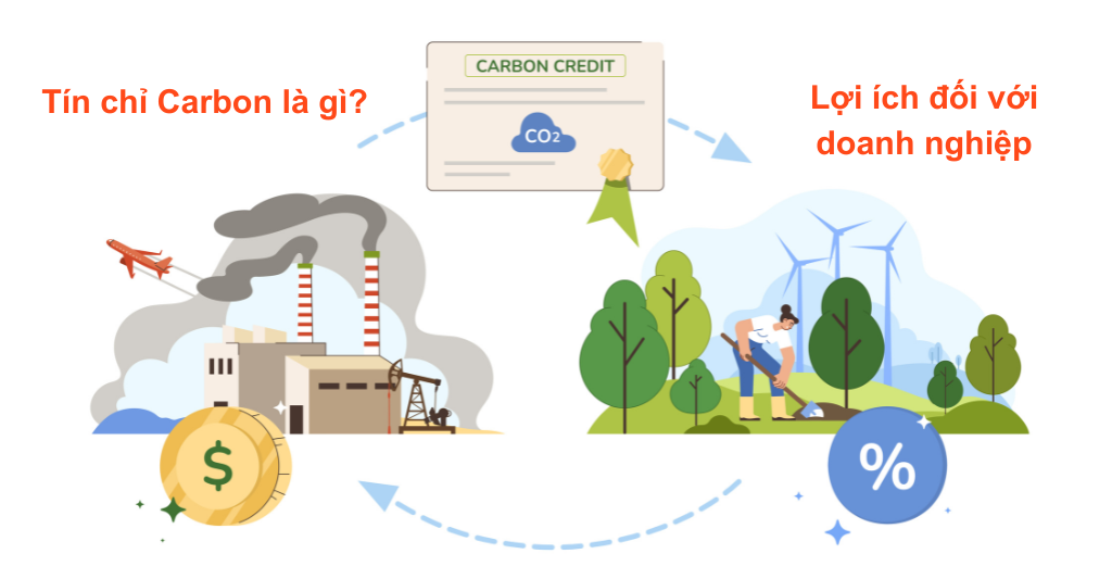 Tín chỉ carbon là gì? Cách tính lượng phát thải carbon cho doanh nghiệp Việt Nam