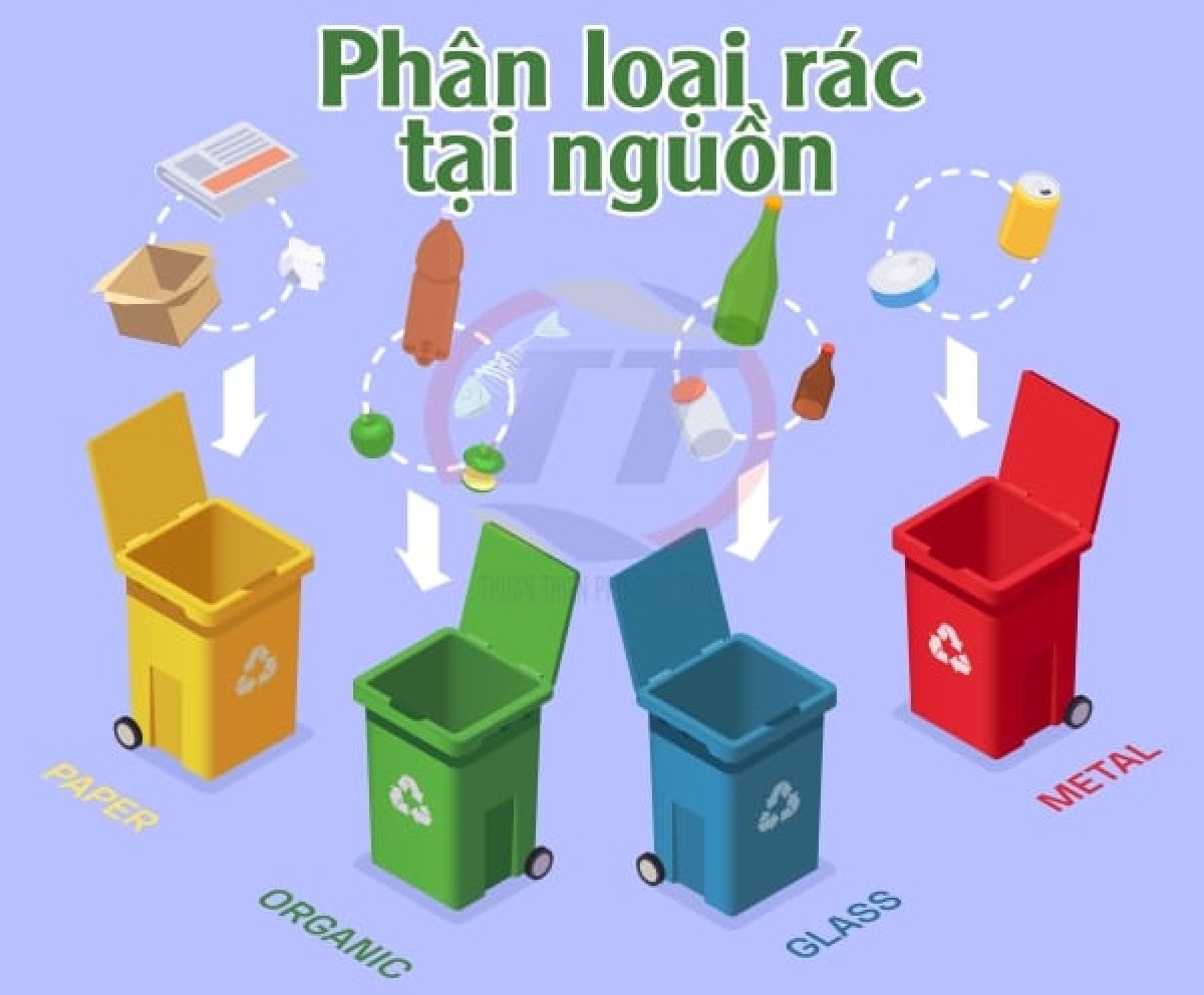 Phân loại rác tại nguồn và xử lý rác hữu cơ: Giải pháp bền vững cho môi trường